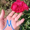 marinaz855