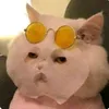 chweinggum0