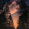 nuril1_7