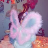 zozaahmed6539