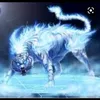 user4307552165322