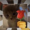 piggy_292