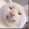 aamullz26