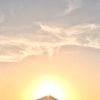 also_1223