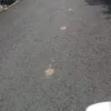 edooooooo45