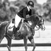 genh.equestrian2