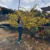 trieuthuy1234567