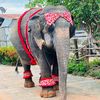 คุณยายบัวลอย(ช่องหลัก)