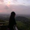 dryotta_