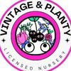 vintageandplanty