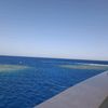 mahmoudbasem_