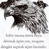 _huseyn_huseynli_2