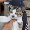 wildbetta21