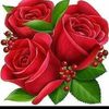 user1550923097334