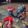 dandi_st