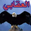 user8082458147519