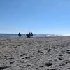 beachfreshguy