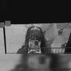 eloo__05
