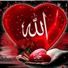 amine.islam.212