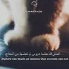 dy2wyps2fcew