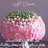12rosses