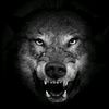 lonewolfadventure