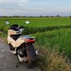 nipan45671