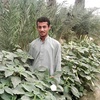 shah_nawaz114