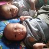 shin.thant8635