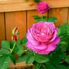 user7c0x59l44w