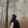 m_sullls