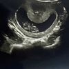 taurus_virgo57