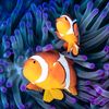 unay_8090