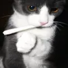 blasarmm