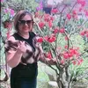 hoi.vn351