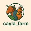 cayla920