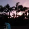jerlieasuncion