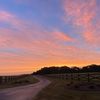 gracieh_6447