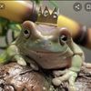 kremit_de_forg