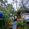 widamelani1