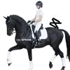 equestrian_ed1tzz