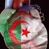 algeriemiamou