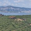 kalpazankaya