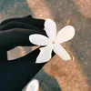 dytbvtiba3lh