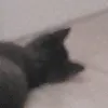 aosbusjeowbddiejwbo