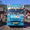 alfio461