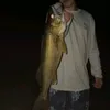 almassmegaaprivata