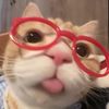 heyitsbee_222