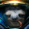 smokersloth