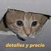 xstatic_process